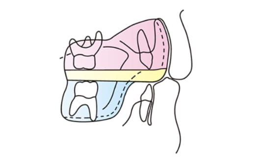 サンプル画像